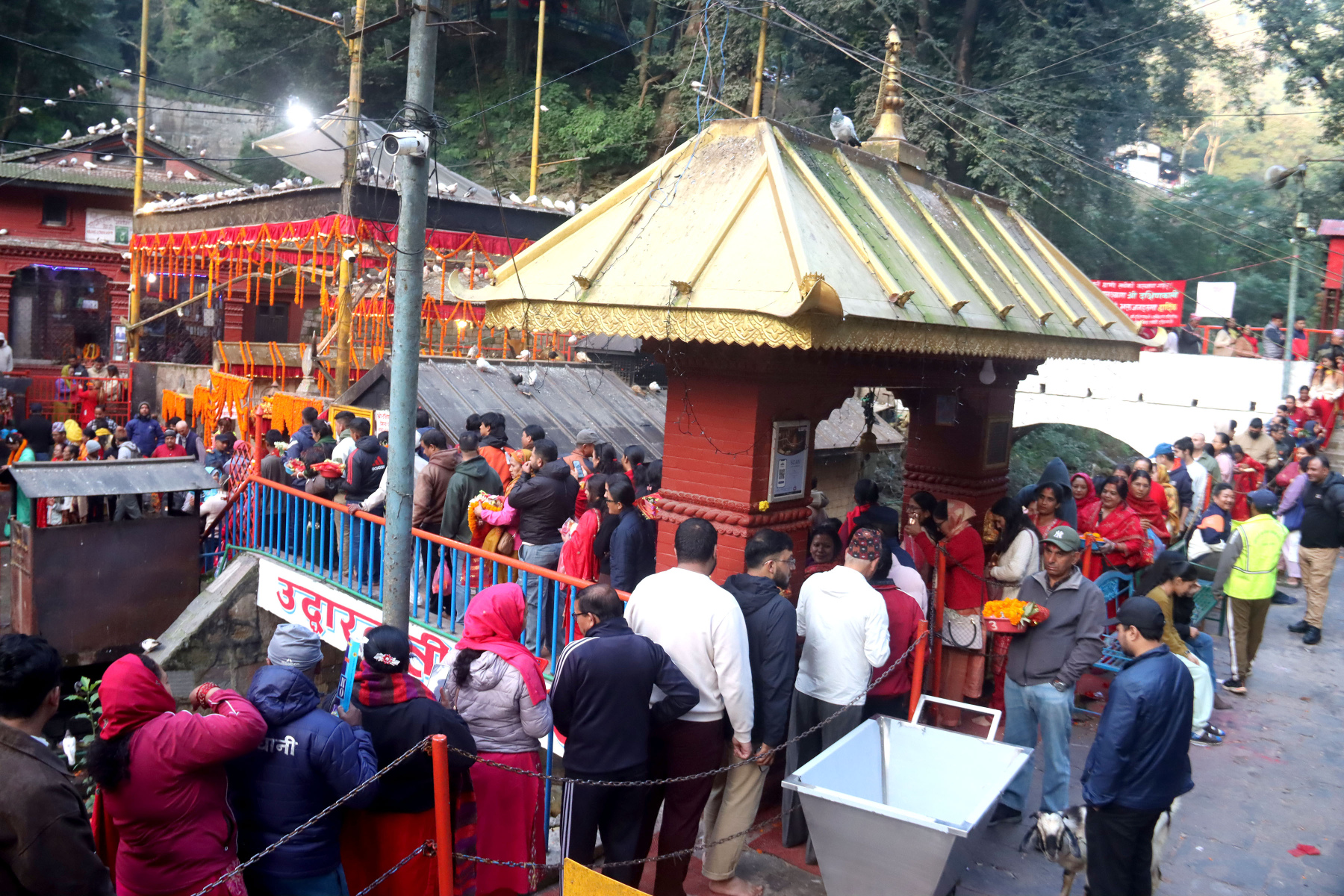 दक्षिणकाली मन्दिरमा भक्तजन

काठमाडौँ, ३० असोजः
काठमाडौँको दक्षिणकाली नगरपालिका–६ मा अवस्थित दक्षिणकाली मन्दिरमा शुक्रबार पूजा आराधना तथा दर्शन गर्न लामबद्ध भक्तजन । तस्बिरः हरिराम भेटुवाल/रासस