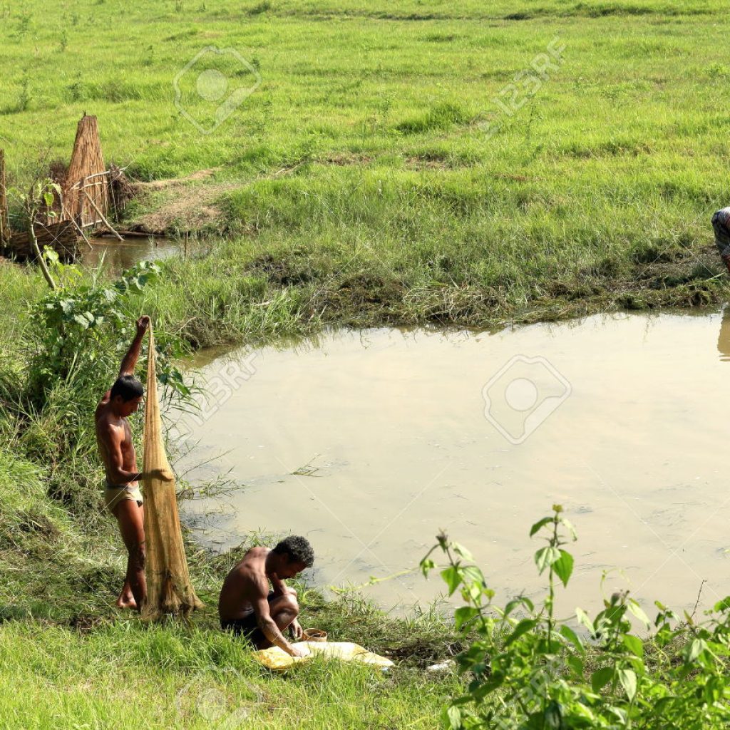 तालमा माछा मार्न गएका व्यक्ति डुबेर बेपत्ता