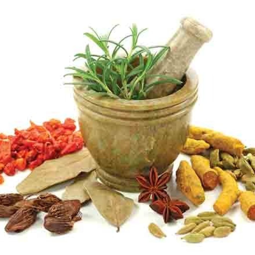 आयुर्वेदलाई पुन : गौरवमय स्थान दिनुपर्छ