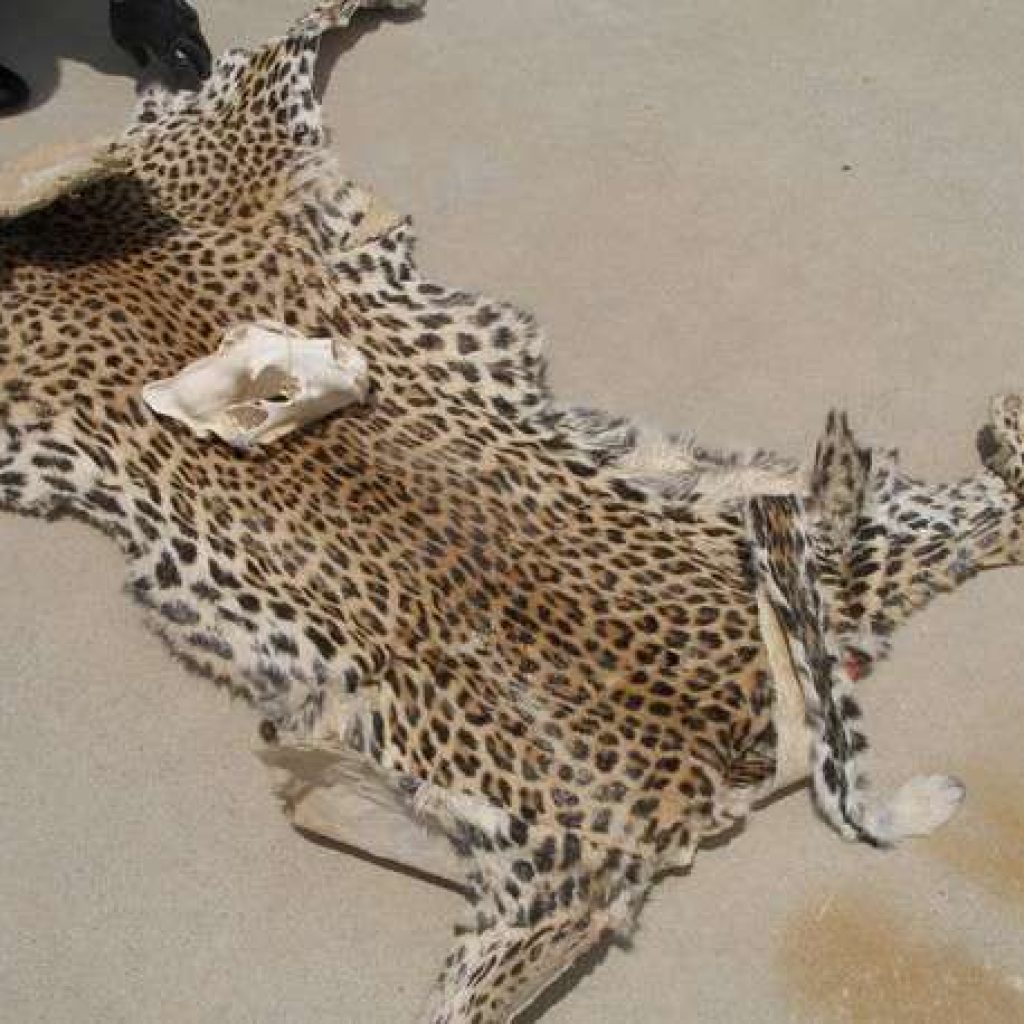 दरबारका ओखेटोपहार नष्ट हुने अवस्थामा