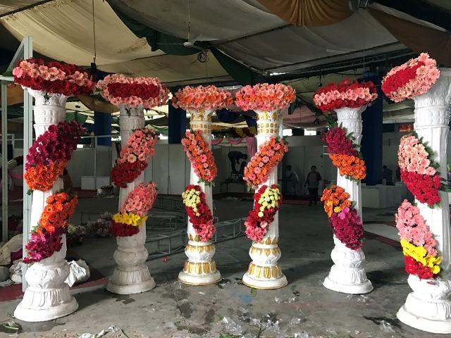 अन्तर्राष्ट्रिय फ्लोरा एक्स्पो सुरु