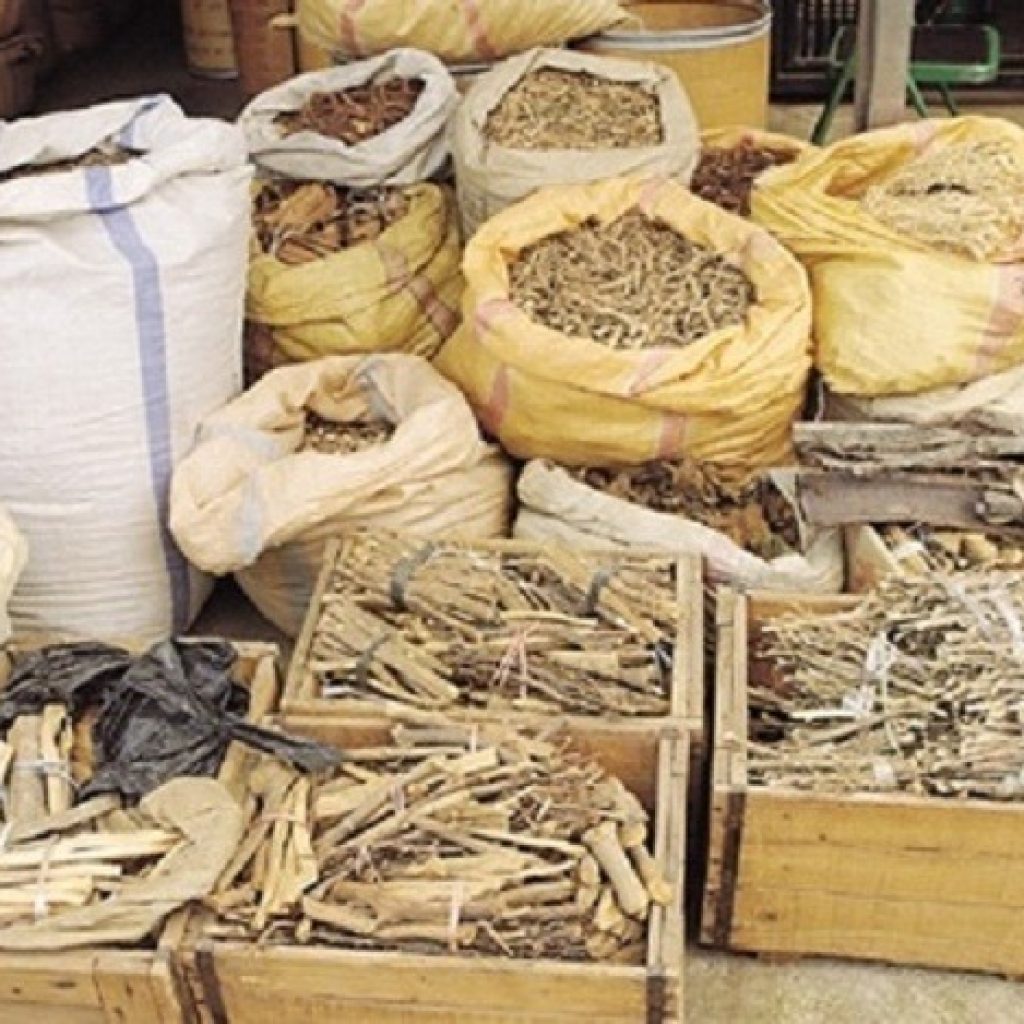 काभ्रेपलाञ्चोकमा ३५० प्रजातिका जडीबुटी