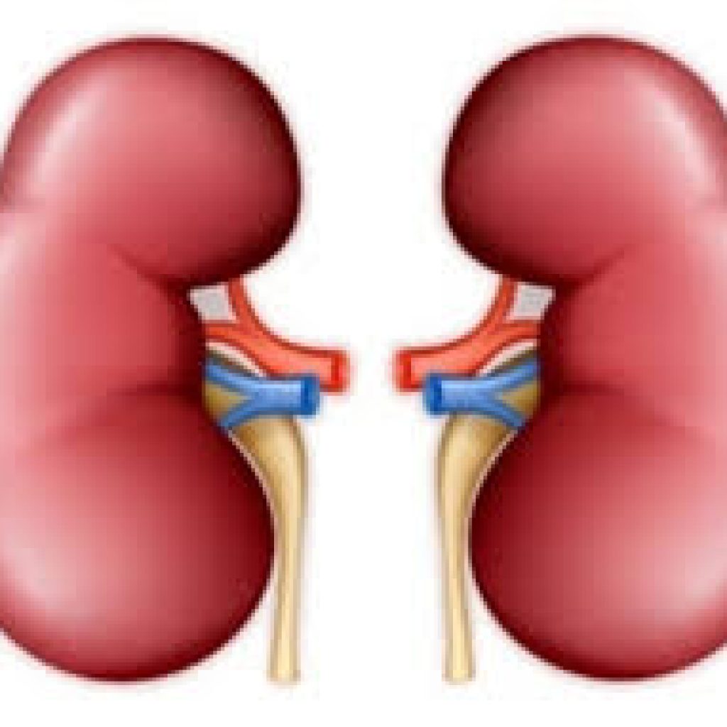 जेसिजद्वारा मिर्गौला रोगपीडितलाई सहयोग