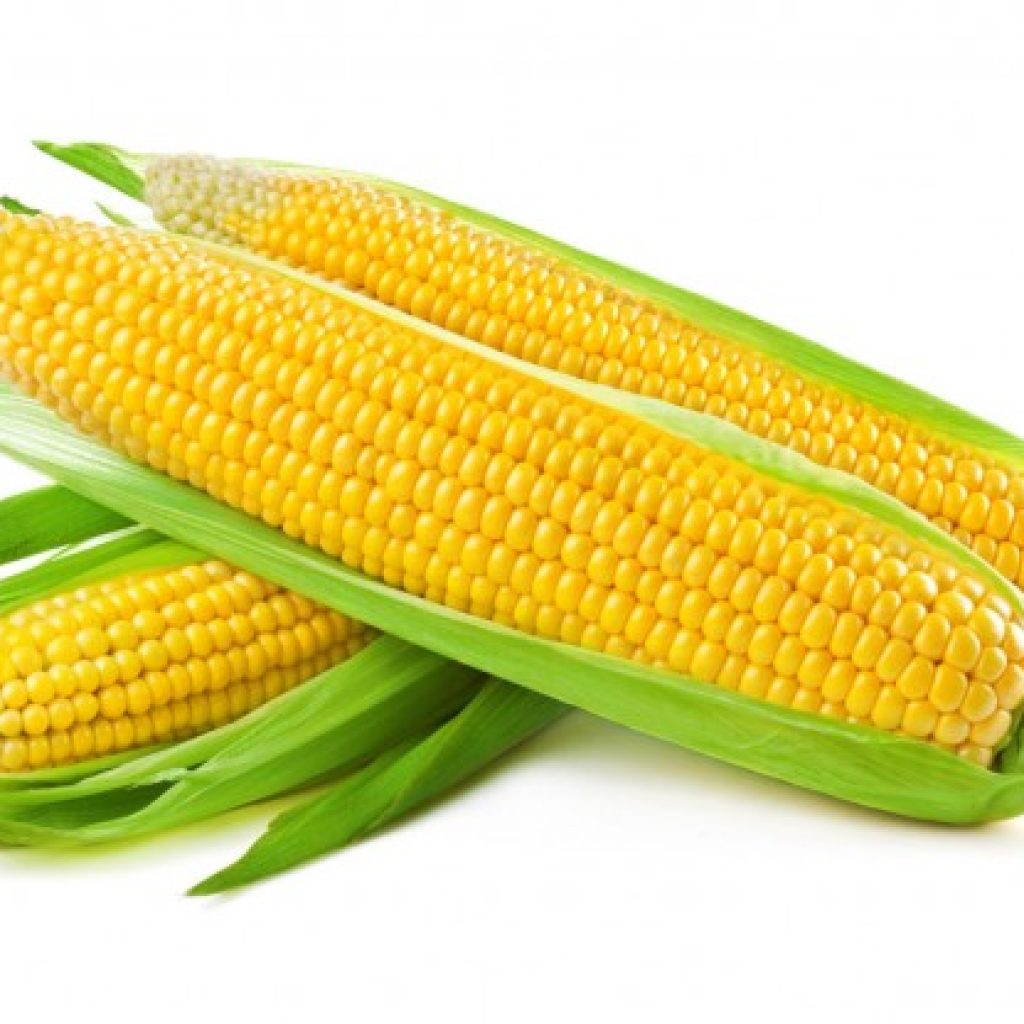 औषधिको काम गर्छ मकैले