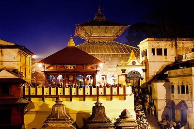 ‘राष्ट्रिय आवश्यकताले पशुपतिनाथमा नेपाली पुजारी राख्न खोजेको हुँ’