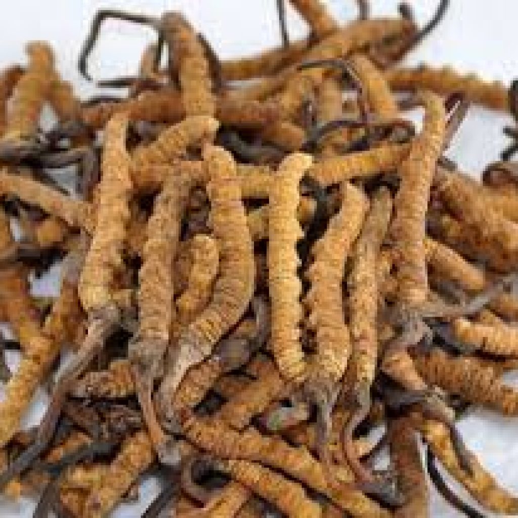 यार्सा व्यापारीको हत्या, पाँच राउन्ड गोलीसहित पेस्तोल र रु १० लाख फेला