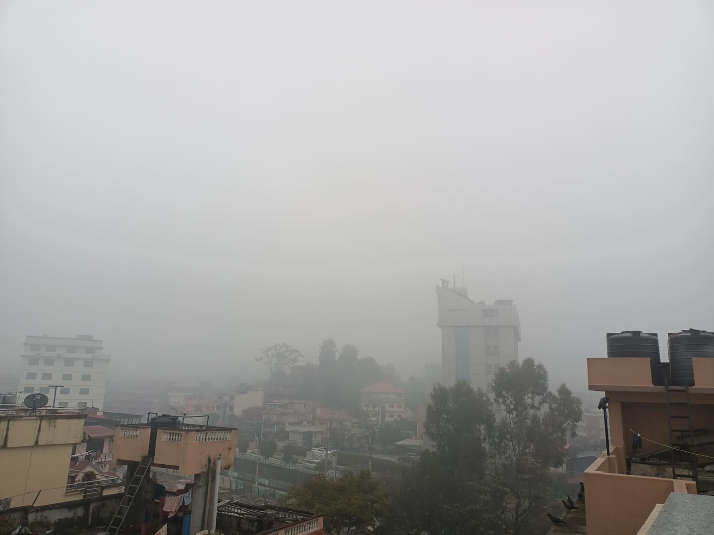 बाक्लो हुस्सुका कारण उडान ठप्प