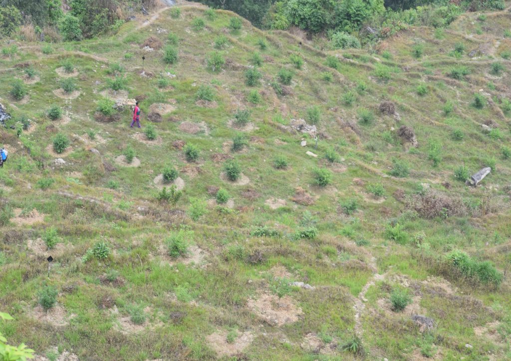 बागलुङकाे निसीखोलामा चक्लाबन्दीले बढायो जग्गाको उपयोगिता