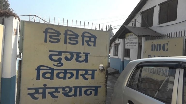 दुग्ध विकास संस्थानद्धारा चाडपर्वका अवसरमा उपभोक्तालाई छुट