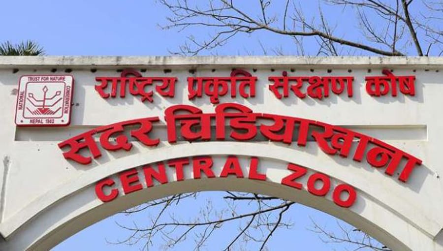 जावलाखेलकाे चिडियाखानामा ‘बर्ड फ्लु’को सूचना लुकाएको आरोपमा प्रमुख साह पदमुक्त, एक हप्ताभित्र प्रतिवेदन बुझाउन निर्देशन
