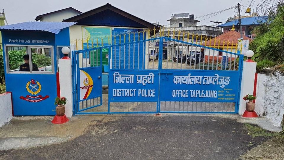ताप्लेजुङमा तीन साताभित्र ३०६ तोला बढी सुन बरामद