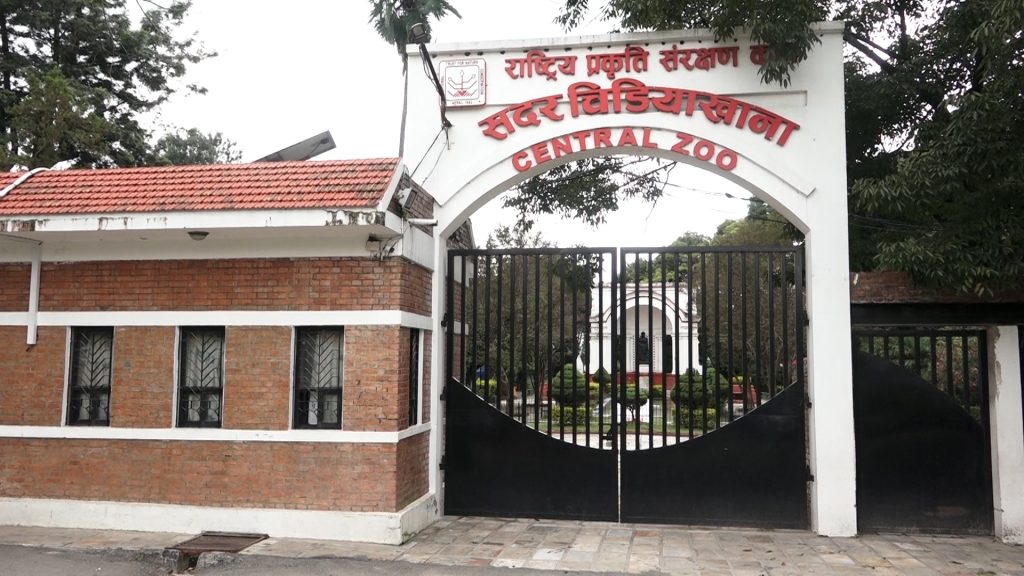 मतदानको दिन जावलाखेलस्थित सदर चिडियाखाना बन्द हुने