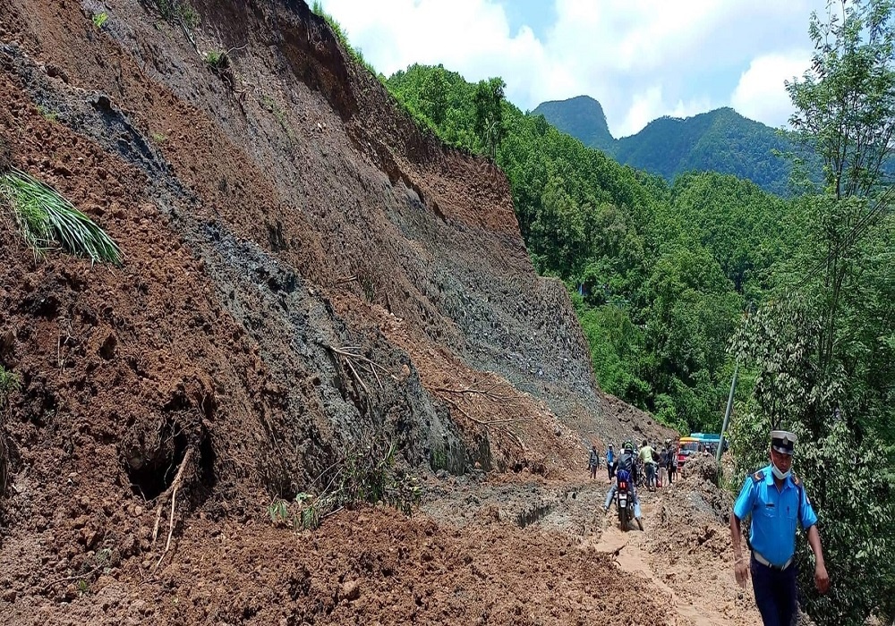 पृथ्वीराजमार्ग विस्तार : ४६६ रुख काटिने