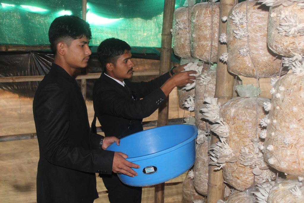 विद्यालयमै च्याउखेती, पढ्दै प्राविधिकसंगै कमाउँदै बालबालिका