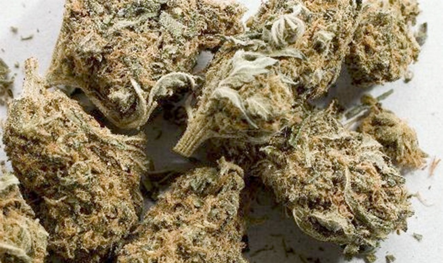 बेबारिसे अवैध ४० किलो गाँजा बरामद