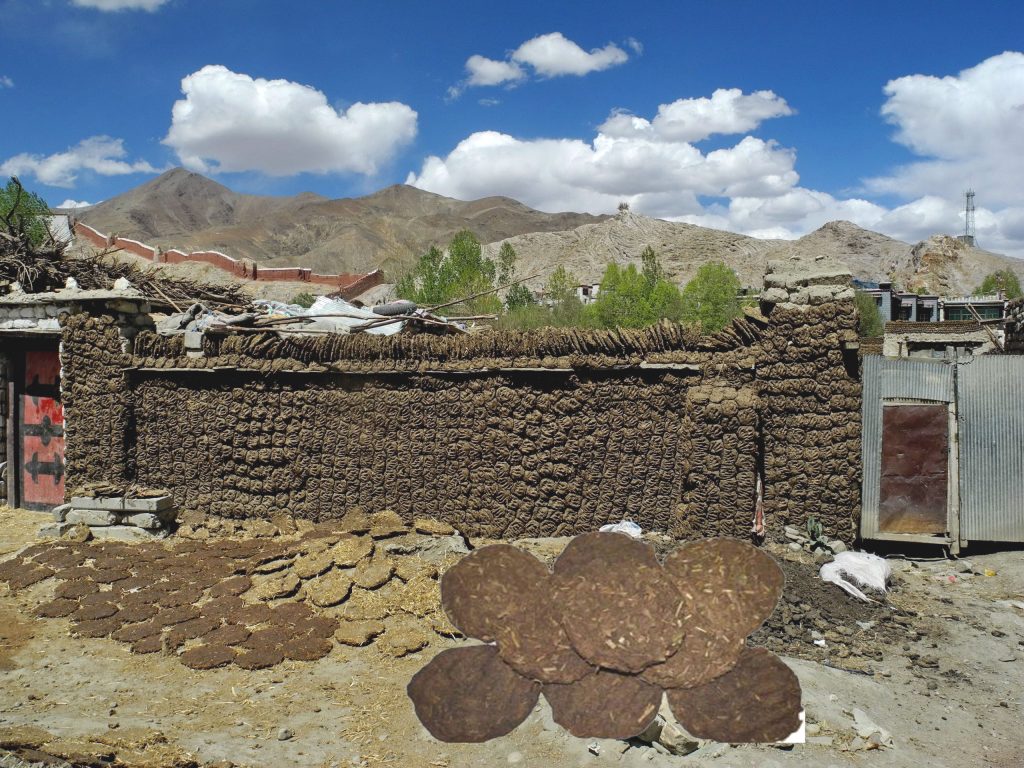 सर्लाहिका स्थानीय दाउरा अभावमा गोबरको गुइँठाबाट खाना पकाउन बाध्य