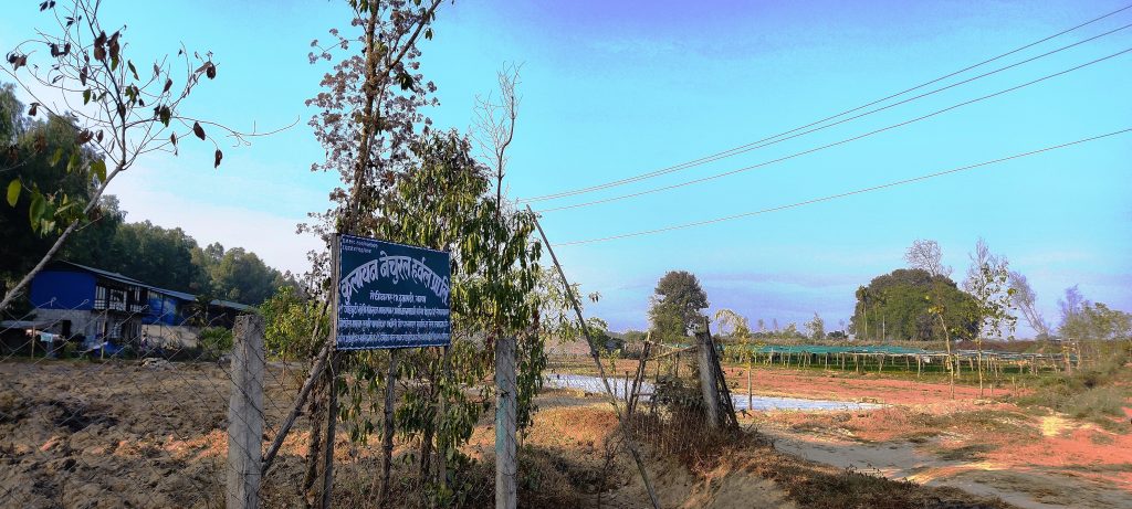 झापामा फस्टाउँदै जडीबुटी खेती