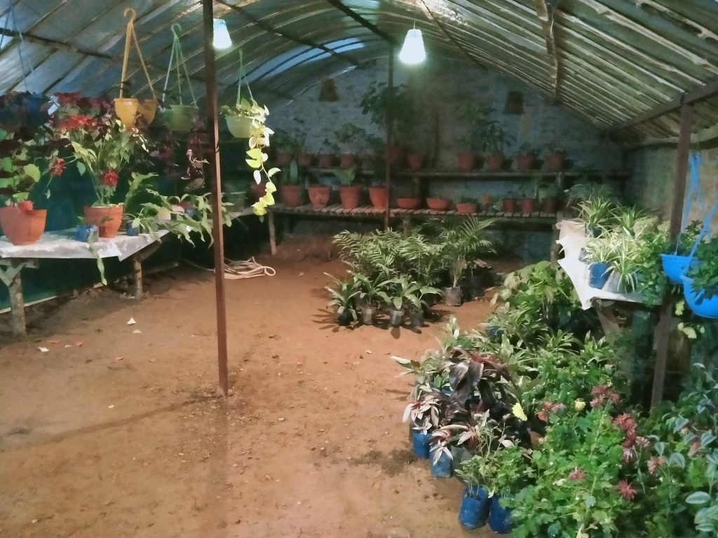 सनसरीको मेहनत, जो मालीबाट मालिक बनिन्