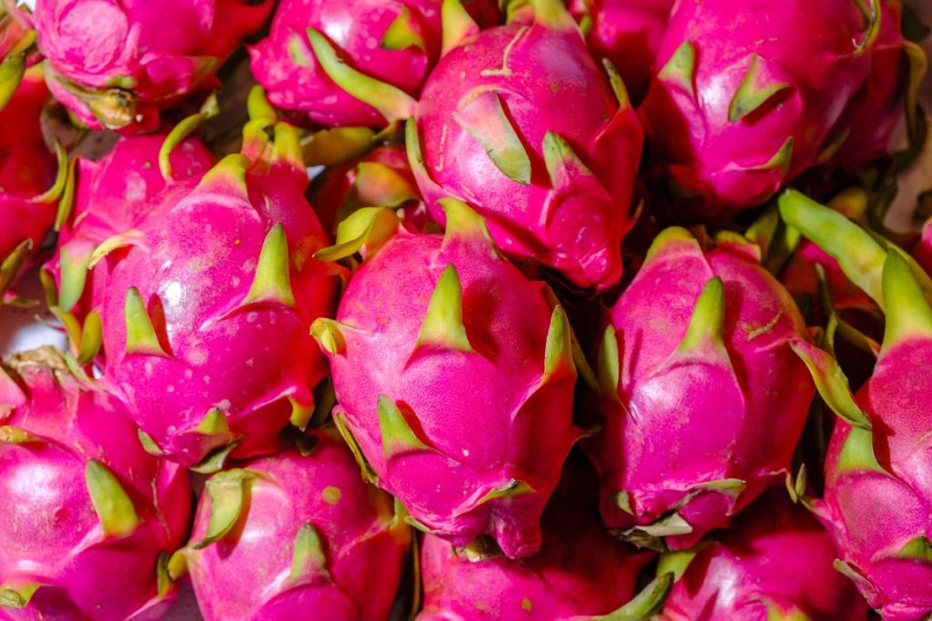 ड्रागनफ्रुट : सम्भावनासँगै चुनौती पनि बढ्दै