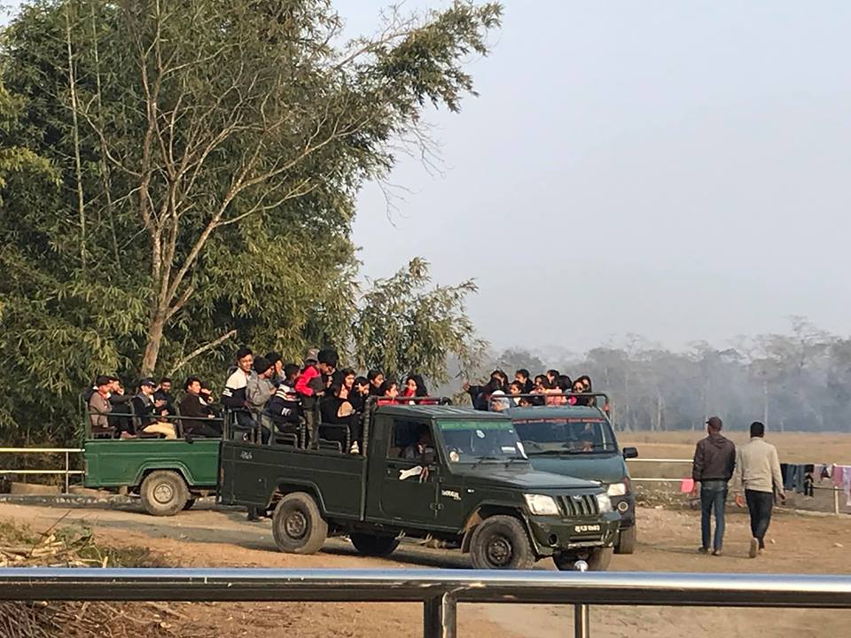 निकुञ्जमा सफारी सुरु हुँदा पर्यटन व्यवसायी उत्साही