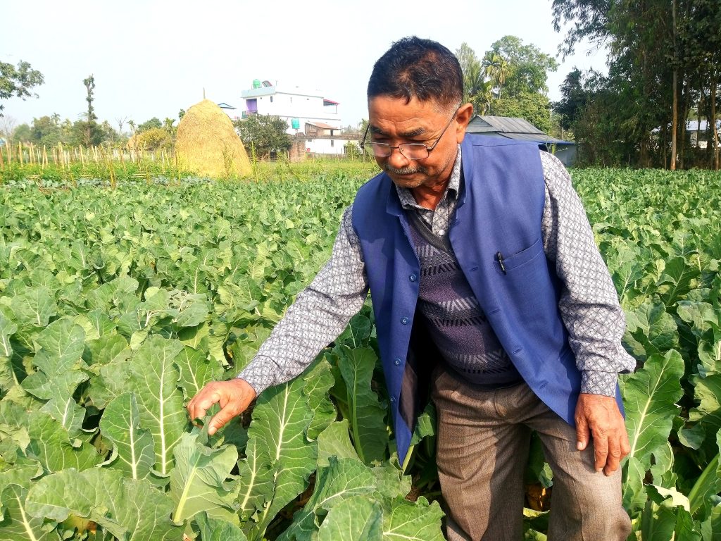 तरकारी खेतीले फेरिएको मोहनलालकाे जिन्दगी