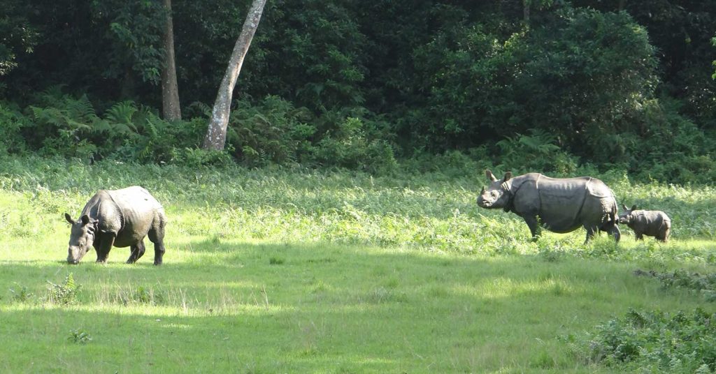 १४ करोड २४ लाखमा सौराहामा पर्यटकीयमार्ग निर्माण हुने