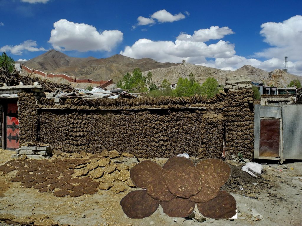 दाउराको सट्टा ‘गुइँठा’ प्रयाेग गर्दै दाङका गृहिणी