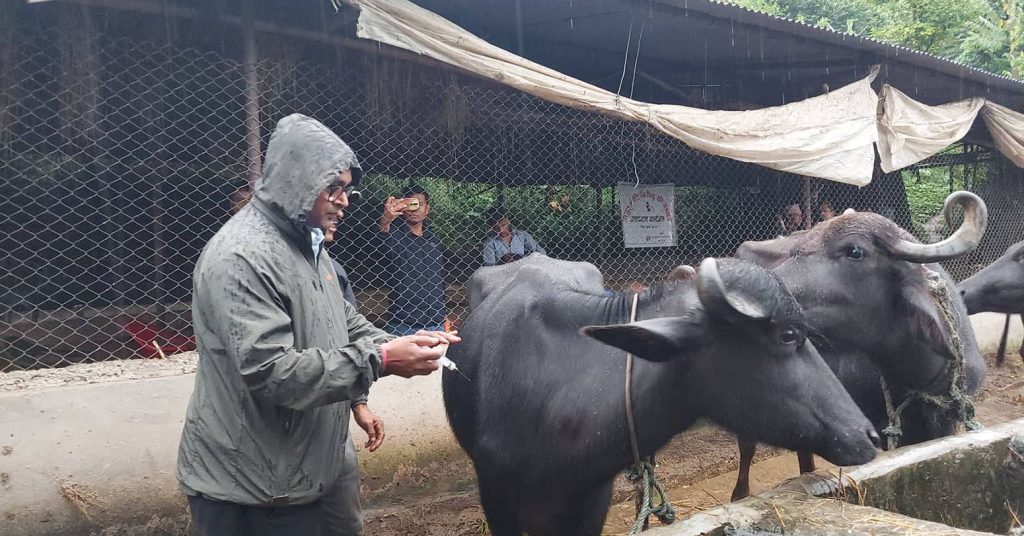 चितवनमा खोरेत रोगविरुद्धको खोप अभियान सुरु