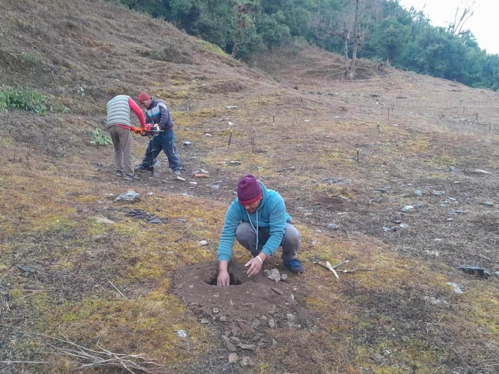 बाँझो जमिनमा फलफूल खेती गर्दै बागलुङको तमानखोला गाउँपालिका