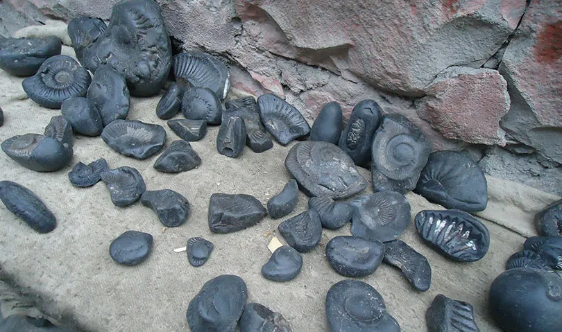 बागलुङमा शालिग्राम बचाउन महोत्सव