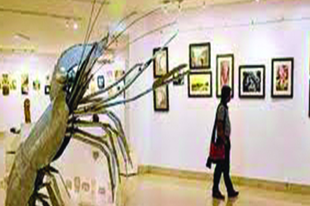 राष्ट्रिय ललितकला प्रदर्शनी आजदेखि, छ सय नौ जना कलाकारका छ सय ९५ वटा सिर्जना प्रदर्शनी गरिने