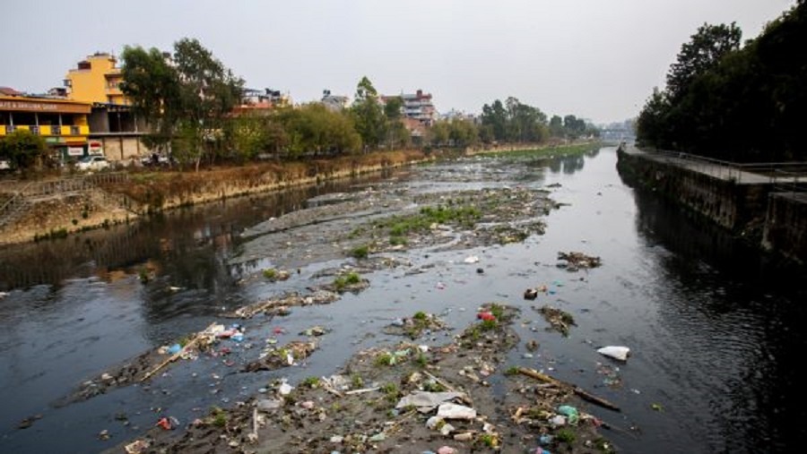 गर्मी बढेसँगै बढ्यो वाग्मती नदीमा दुर्गन्ध