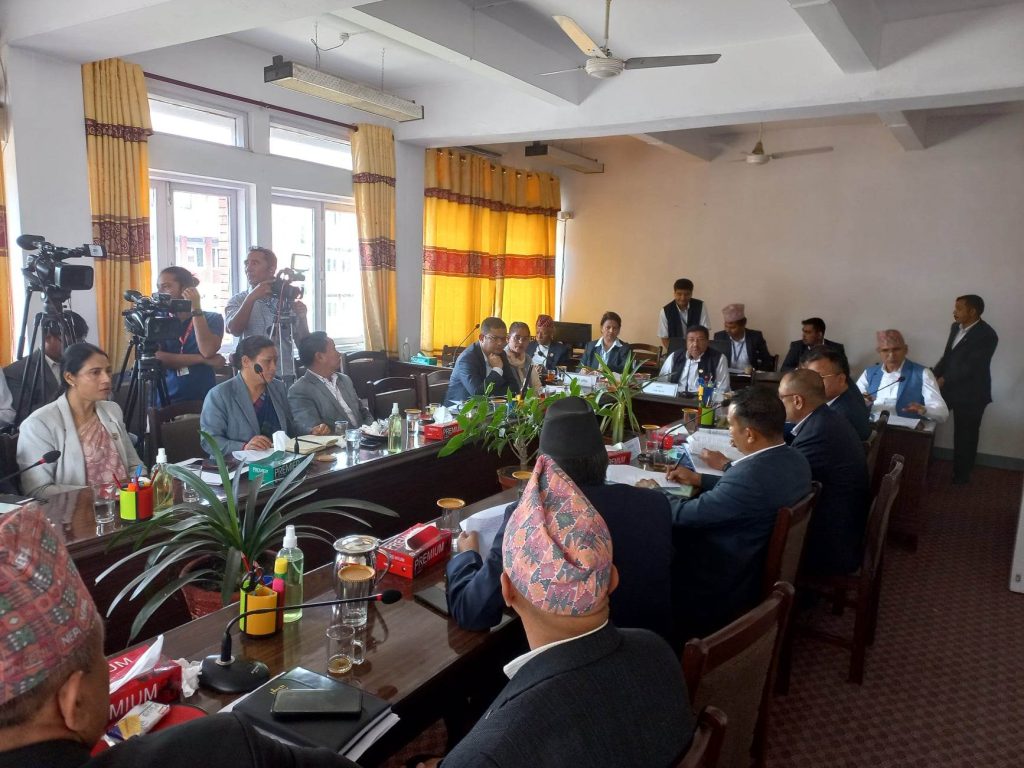 ब्रोकर लाइसेन्स प्रक्रिया खुलाउन अर्थ समितिको निर्देशन