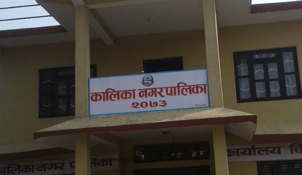 चितवनकाे कालिकामा विद्यालयको दिवा खाजामा गाउँकै फापर र कोदोको रोटी