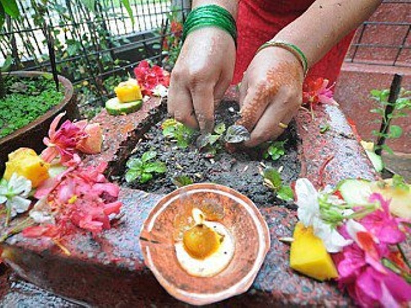 आज हरिशयनी एकादशी, हिन्दु धर्मावलम्बीहरूले घरघरमा तुलसीको बिरुवा राेपिँदै