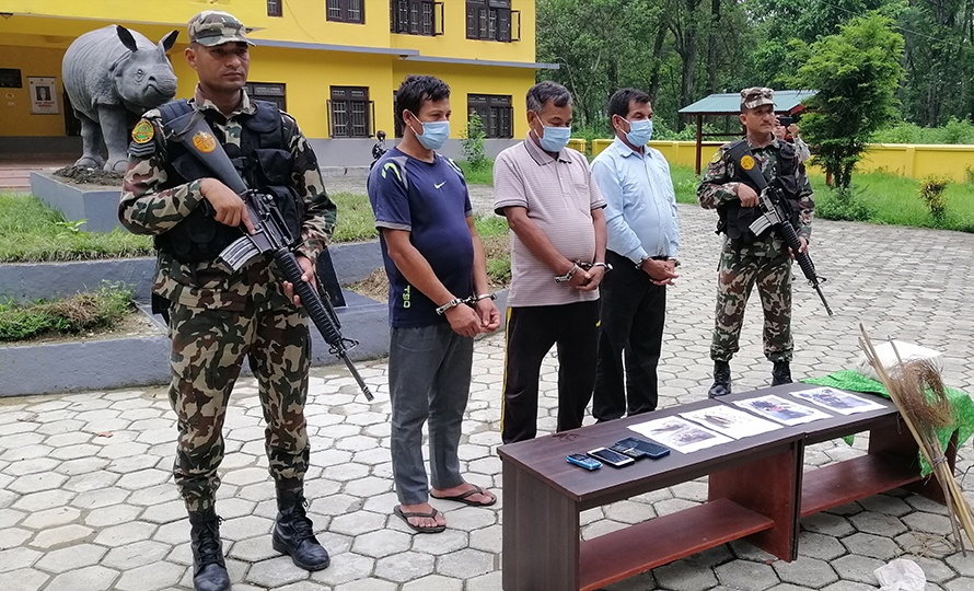 विद्युतीय धरापमा पारी गैँडा मारेको अभियोगमा तीन पक्राउ