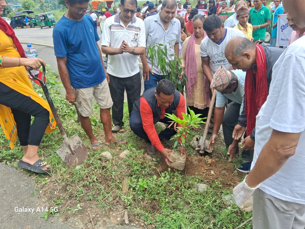 मरिण गाउँपालिका सहकारी संजालद्वारा वृक्षाराेपण
