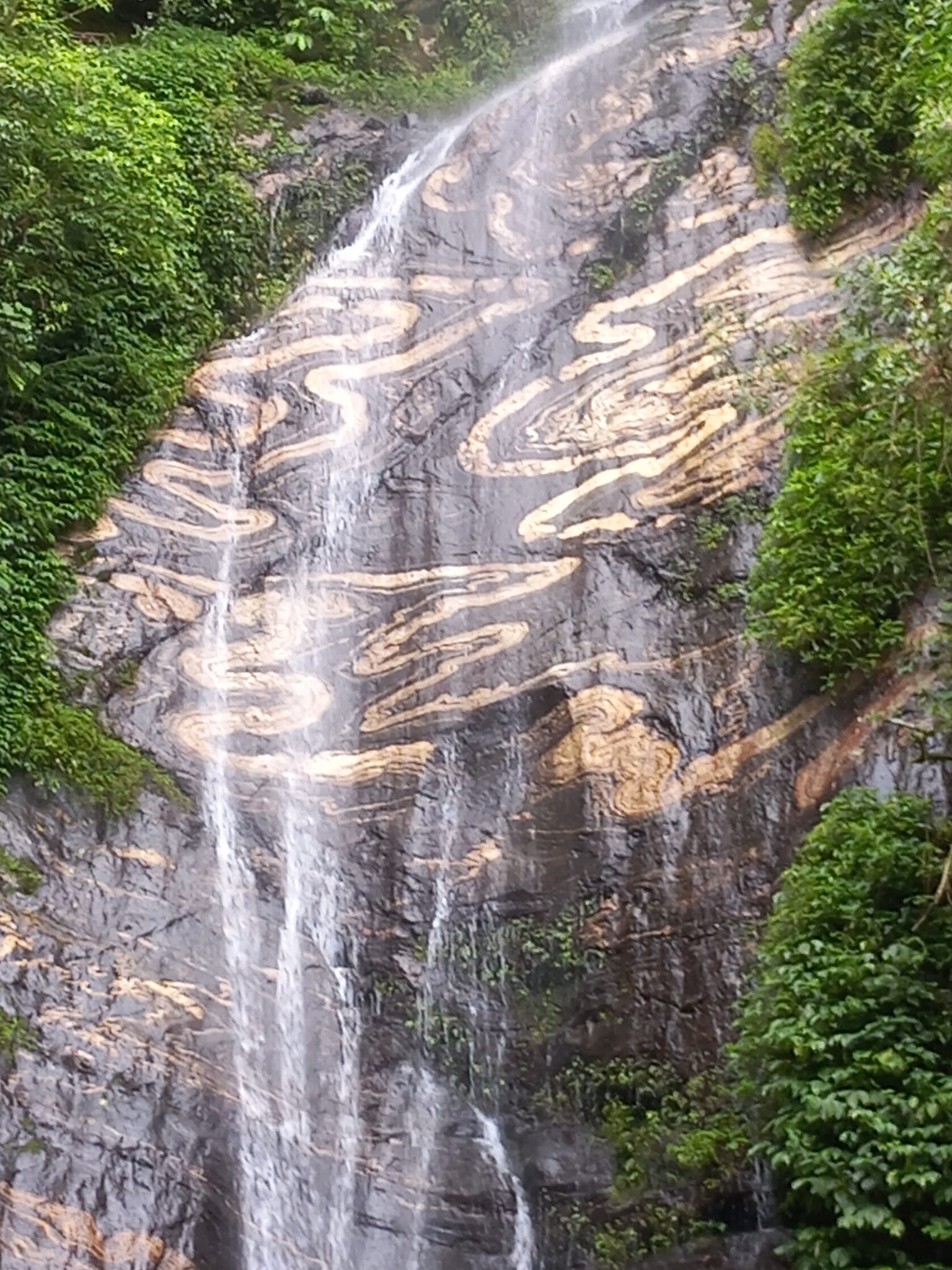 nagchhaga photo