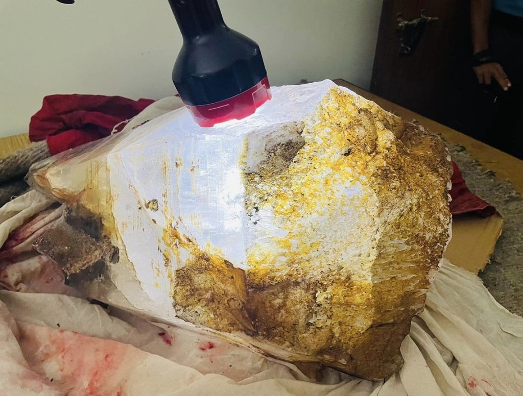 गोरखामा रहेकाे टल्कने ढुङ्गा ‘क्वार्ज क्रिष्टल’ नै भएको भूगर्भ विभागको पुष्टि
