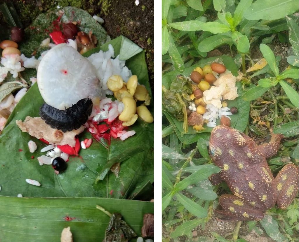 नेवार समुदायले ‘गुन्हुपुन्ही’मा भ्यागुताको पूजा गरी भोजन खुवाउँदै