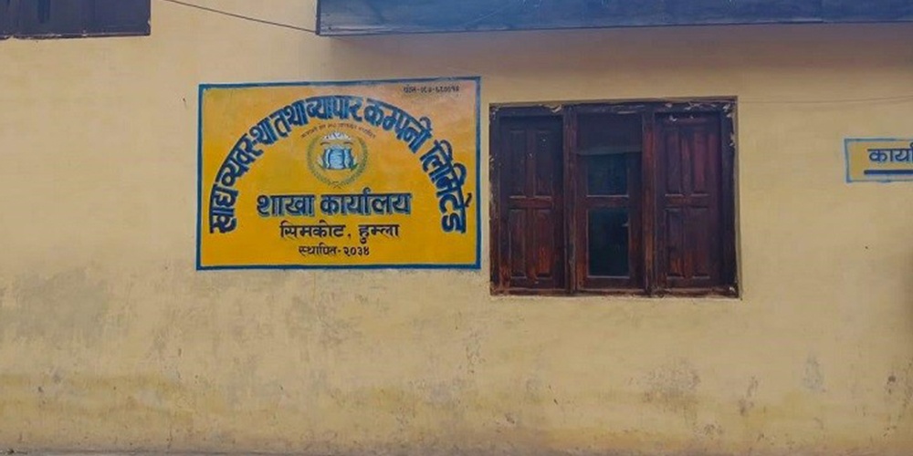 खाद्य व्यवस्था तथा व्यापार कम्पनी लिमिटेडले बेच्याे हुम्लामा कुहिएको चामल