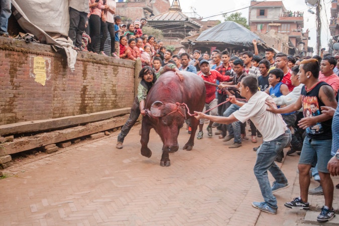 भक्तपुरमा आज खःमेय् जात्रा मनाइँदै