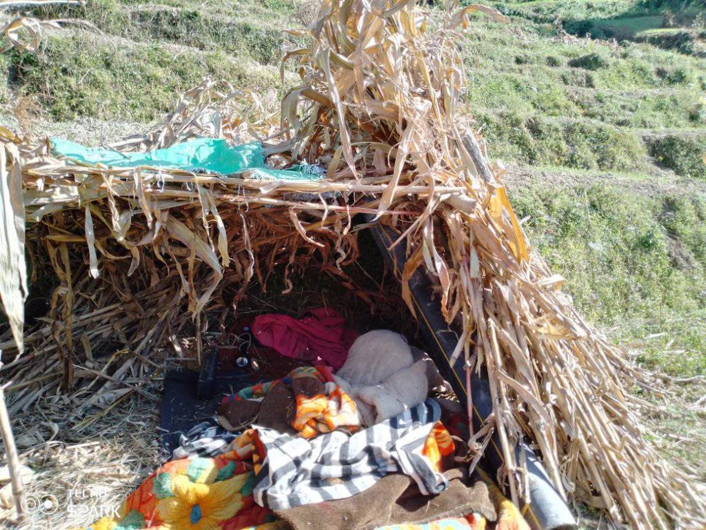 जाजरकाेट भूकम्प : पीडितले अझै पाएनन् त्रिपाल