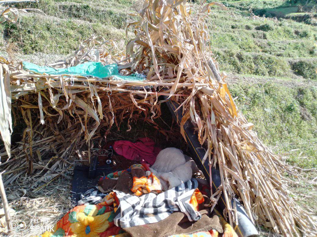 जाजरकाेट भूकम्प : पीडितले अझै पाएनन् त्रिपाल