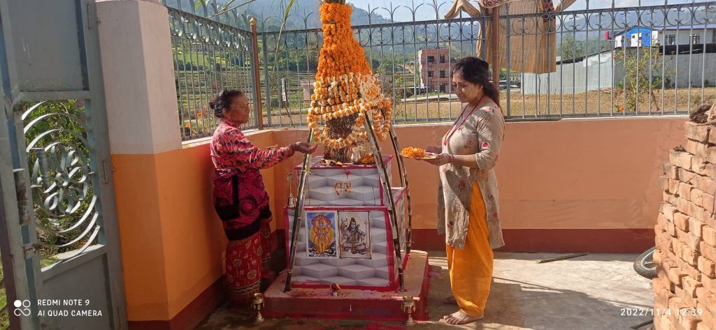 आज हरिबोधिनी एकादशी, तुलसीको विवाह गरिंदै
