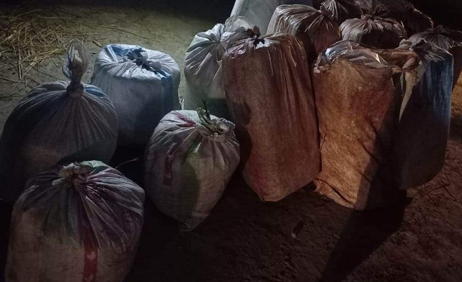 भोजपुरमा गाँजा तस्करीको ठूलो सञ्जाल फेला: ५०० किलो गाँजासहित ट्र्याक्टर र १० जना पक्राउ