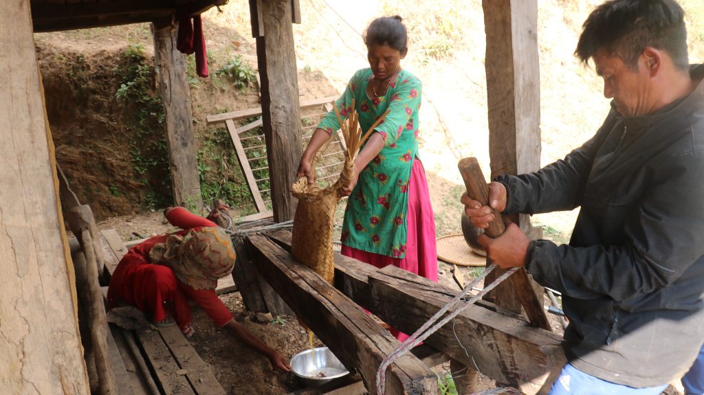 चिउरीबाट घ्यू उत्पादन गर्दै जिङलाउका चेपाङ समुदाय