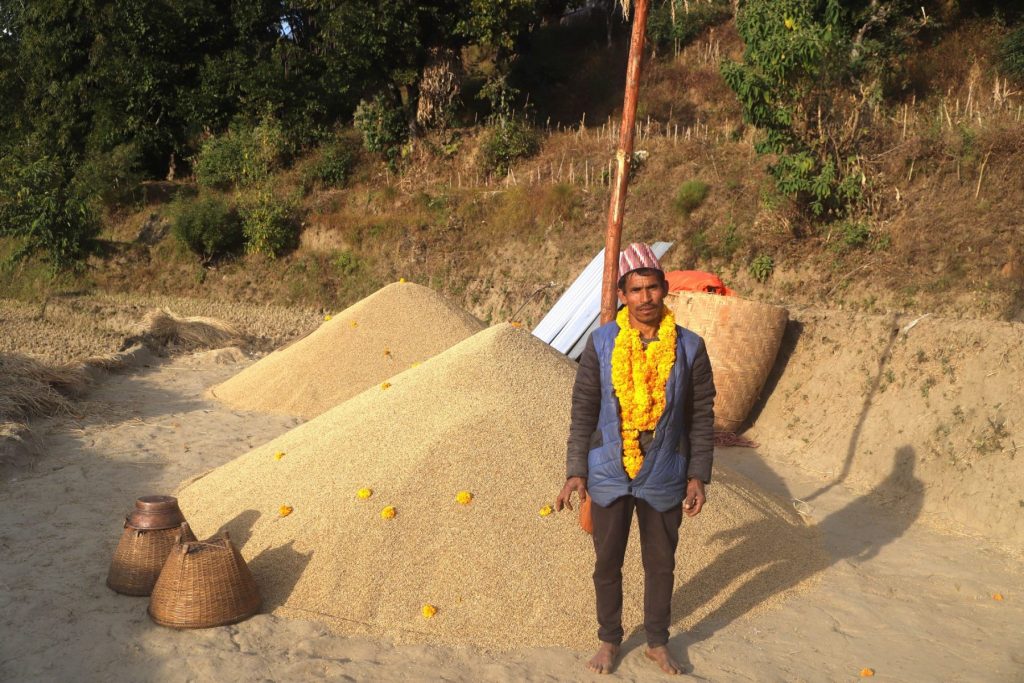 १६८ मुरी धान फलाएर ५० हजार रूपैयाँले पुरस्कृत भए बम्जन दम्पती