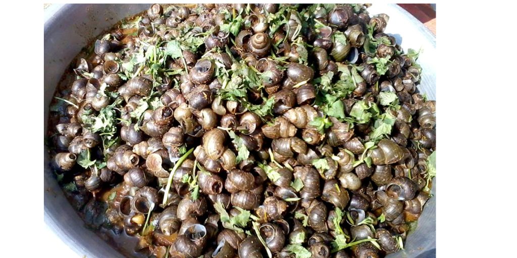 कोहलपुरमा घोङी खाने प्रतियोगिता
