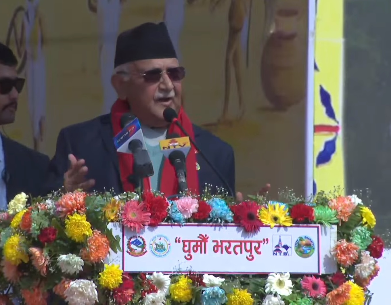 kp oli piccc